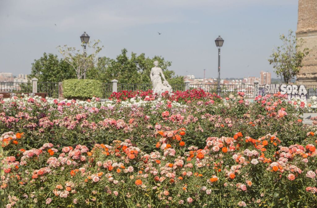 Jardín lleno de flores de colores con vistas urbanas al fondo