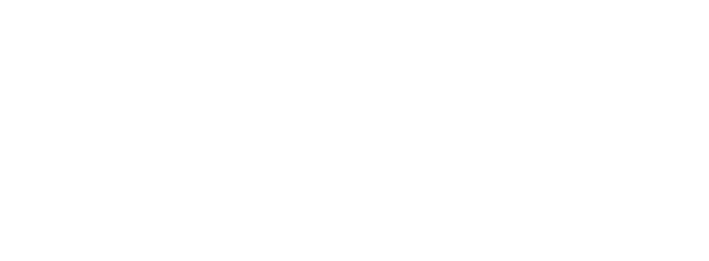 Verti Logo