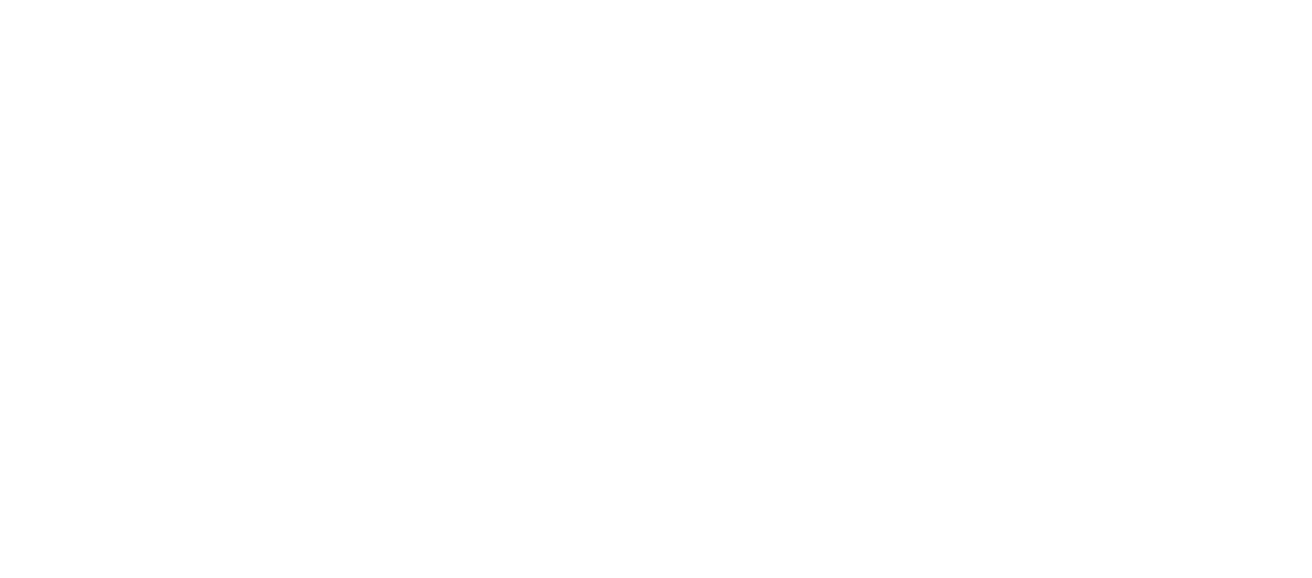 Wobi Logo